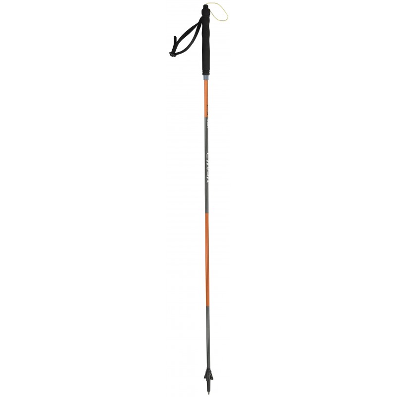 Paire De Bâtons De Ski Pur Ride Approach Outdoor – Aluminium Léger & Résistant, Gris, Rondelles 55 Mm