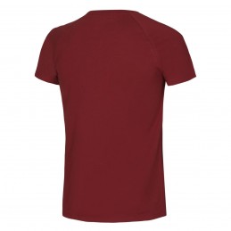 , Tee shirt homme Raglan T Merlot Van Ocun, OCUN, Croque Montagne