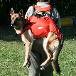 Harnais de transport pour chien Taxi Dog Alp Design