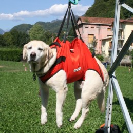 Harnais de transport pour chien Taxi Dog Alp Design