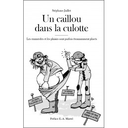 Livre "Un caillou dans la culotte" de Stéphane Jaillet