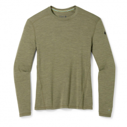 Tee-shirt manches longues Homme Merino 250 BL Crew Smartwool
