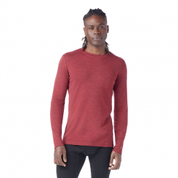 Tee-shirt manches longues Homme Merino 250 BL Crew Smartwool