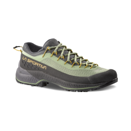 Chaussures approche TX4 Evo...