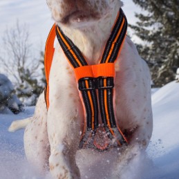 Harnais Canicross X-Back One I-Dog, Harnais Canicross X-Back One I-Dog, I-DOG, Croque Montagne