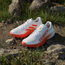Chaussures de trail Terrex Agravic 3 homme Adidas, Chaussures de trail Terrex Agravic 3 homme Adidas, ADIDAS, Croque Montagne