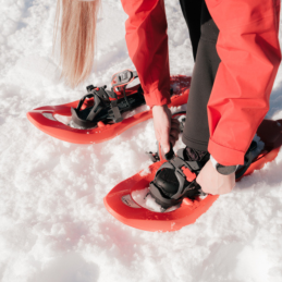 Raquettes à neige 438 UP&DOWN TSL, Raquettes à neige 438 UP&DOWN TSL, TSL, Croque Montagne