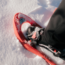 Raquettes à neige 438 UP&DOWN TSL, Raquettes à neige 438 UP&DOWN TSL, TSL, Croque Montagne