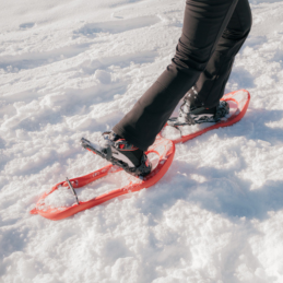 Raquettes à neige 438 UP&DOWN TSL, Raquettes à neige 438 UP&DOWN TSL, TSL, Croque Montagne