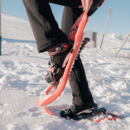 Raquettes à neige 438 UP&DOWN TSL, Raquettes à neige 438 UP&DOWN TSL, TSL, Croque Montagne