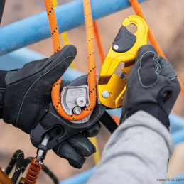 Descendeur auto freinant compact Rig D021AB Petzl