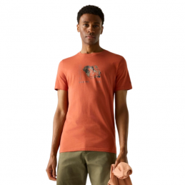 Tee shirt Breezed homme Regatta, Tee shirt Breezed homme Regatta, REGATTA, Croque Montagne